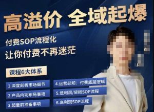 逸风-拼多多高溢价全域起爆,6大课程体系,付费玩法全套实操-小牛学府