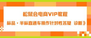 松鼠会电商VIP教程：松鼠《付费推广标品·半标直通车操作针对性答疑&诊断》-小牛学府