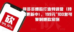 拼多多爆款打造特训营(持续更新中),199元*100套可复制爆款案例-小牛学府