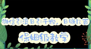 微信互推圈半自动引流方案,矩阵操作日引千人思路【详细视频教程】-小牛学府