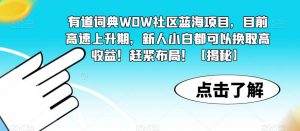有道词典WOW社区蓝海项目,目前高速上升期,新人小白都可以换取高收益!赶紧布局!【揭秘】-小牛学府