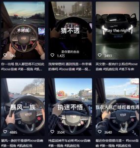 抖音开车视频项目,0基础操作,每天五分钟,月入1W+【揭秘】-小牛学府