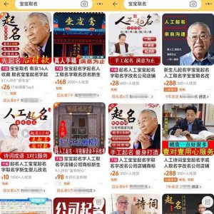 拆解小红书宝宝起名虚拟副业项目,一条龙实操玩法分享给你(教程+软件)-小牛学府