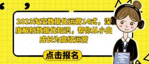 2023淘宝数据化运营14式,深度解析数据化知识,帮你从小白成长为高级运营-小牛学府