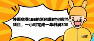 外面收费188的美团准时宝赔付项目，一小时完成一单利润200【仅揭秘】-小牛学府