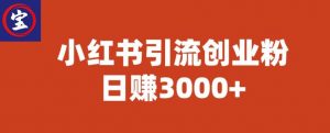 宝哥小红书引流创业粉,日赚3000+【揭秘】-小牛学府
