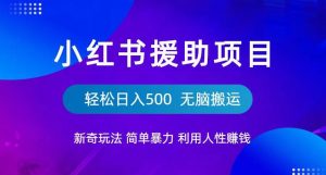 小红书援助项目新奇玩法,简单暴力,无脑搬运轻松日入500【揭秘】-小牛学府
