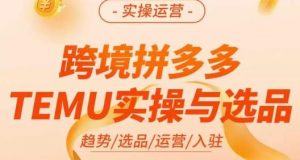伍跃·跨境拼多多TEMU实操与选品,趋势/选品/运营/入住(27节完整)-小牛学府