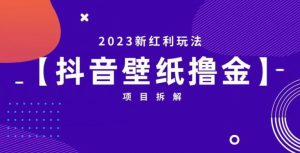 抖音壁纸小程序创作者撸金项目，2023新红利玩法【项目拆解】-小牛学府