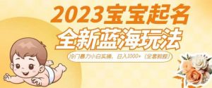 2023宝宝起名全新蓝海玩法,冷门暴力小白实操,日入1000+(全套教程)【揭秘】-小牛学府