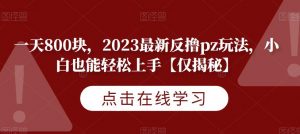 一天800块,2023最新反撸pz玩法,小白也能轻松上手【仅揭秘】-小牛学府