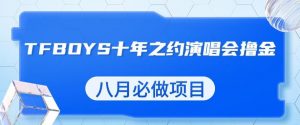 最新蓝海项目，靠最近非常火的TFBOYS十年之约演唱会流量掘金，八月必做的项目【揭秘】-小牛学府