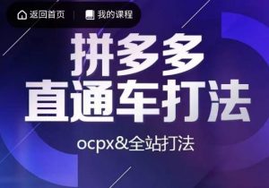 互力·拼多多直通车打法,ocpx&全站打法-小牛学府
