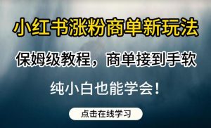 小红书涨粉商单新玩法，保姆级教程，商单接到手软，纯小白也能学会【揭秘】-小牛学府