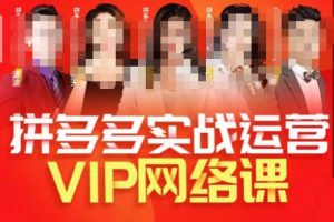 推易拼多多VIP全套直播课程,拼多多店铺实操玩法+实战玩法选款内功+直通车高阶等-小牛学府