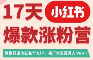17天小红书爆款涨粉营（广告变现方向），教你打造小红书博主IP、接广告变现的-小牛学府