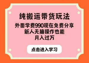 纯搬运带货玩法,外面学费990现在免费分享,新人无脑操作也能月入过万【揭秘】-小牛学府