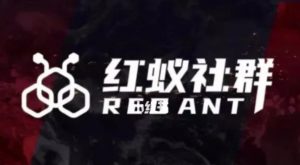 社群运营:红蚁社群【48节落地系统课程+2000人高端社群】-小牛学府