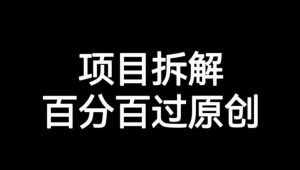 项目拆解赛道百分百过原创【揭秘】-小牛学府