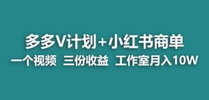 【蓝海项目】多多v计划+小红书商单一个视频三份收益工作室月入10w-小牛学府