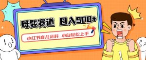 小红书育儿资料,一部手机可操作,多种变现方式,日入500+,私域变现,长期可持续项目【揭秘】-小牛学府