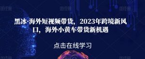 黑冰·海外短视频带货,2023年跨境新风口,海外小黄车带货新机遇-小牛学府