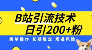 B站引流技术：每天引流200精准粉，简单操作，长期稳定，规避风险-小牛学府