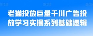 老猫投放巨量千川广告投放学习实操系列基础逻辑-小牛学府