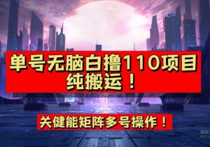 9月全网首发，单号直接白撸110！可多号操作，无脑搬运复制粘贴【揭秘】-小牛学府