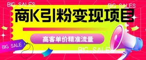 商K引粉变现项目，高客单价精准流量【揭秘】-小牛学府