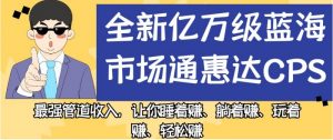 全新亿万级蓝海市场通惠达cps,最强管道收入,让你睡着赚、躺着赚、玩着赚、轻松赚【揭秘】-小牛学府