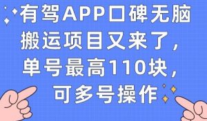 有驾APP口碑无脑搬运项目又来了，单号最高110块，可多号操作-小牛学府