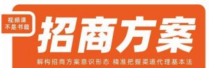 王昕招商方案，解构招商方案意识形态，精准把握渠道代理基本法-小牛学府