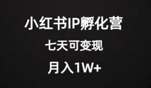 价值2000+的小红书IP孵化营项目,超级大蓝海,七天即可开始变现,稳定月入1W+-小牛学府