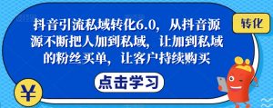 抖音引流私域转化6.0,从抖音源源不断把人加到私域,让加到私域的粉丝买单,让客户持续购买-小牛学府