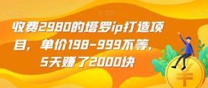 收费2980的塔罗ip打造项目，单价198-999不等，5天赚了2000块【揭秘】-小牛学府