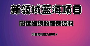 虚拟资源蓝海领域新项目，轻松日入800＋，附保姆级教程及资料-小牛学府