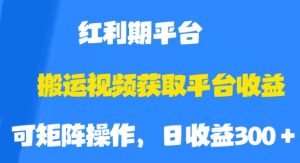 搬运视频获取平台收益，平台红利期，附保姆级教程【揭秘】-小牛学府
