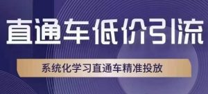 直通车低价引流课,系统化学习直通车精准投放-小牛学府