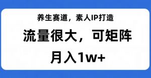 养生赛道,素人IP打造,流量很大,可矩阵,月入1w+【揭秘】-小牛学府