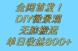 全网首发冷门赛道！DIY微景观，无脑搬运视频，日收益800+【揭秘】-小牛学府