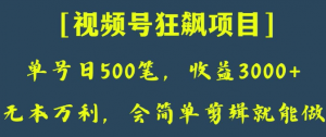 日收款500笔，纯利润3000+，视频号狂飙项目，会简单剪辑就能做【揭秘】-小牛学府