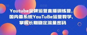 Youtube金牌运营直播训练营,国内最系统YouTuBe运营教学,掌握长期稳定流量密码-小牛学府