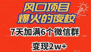 全网首发，爆火的夜校，7天加满6个微信群，变现2w+【揭秘】-小牛学府
