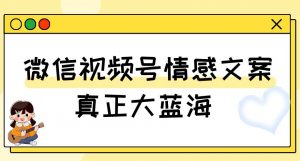 视频号情感文案，真正大蓝海，简单操作，新手小白轻松上手（教程+素材）【揭秘】-小牛学府