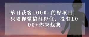 单日获客1000+的好项目，只要你微信扛得住，没有1000+你来找我【揭秘】-小牛学府