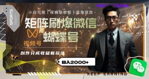 矩阵刷爆微信蝴蝶号创作者分成计划收益的新玩法，日入2000+【揭秘】-小牛学府