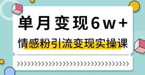 单月变现6W+，抖音情感粉引流变现实操课，小白可做，轻松上手，独家赛道【揭秘】-小牛学府
