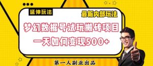 数据号回归玩法游戏试玩搬砖项目再创日入500+【揭秘】-小牛学府