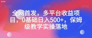 全网首发，多平台收益项目，0基础日入500+，保姆级教学实操落地【揭秘】-小牛学府